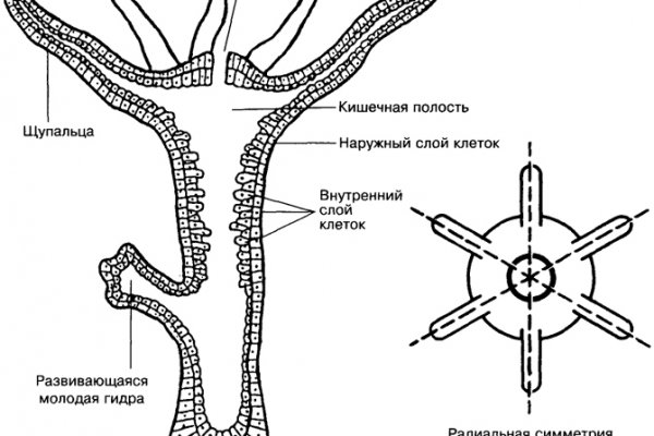 Актуальная ссылка на кракен kraken014 com